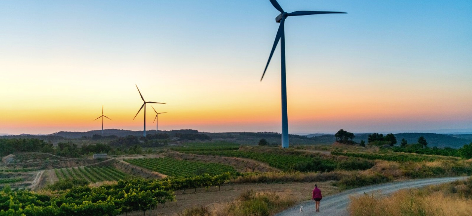 net-zero-emissions