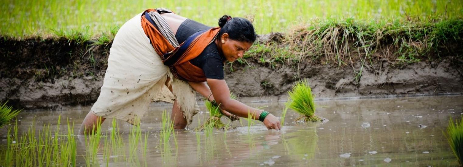 Food, Land and Water