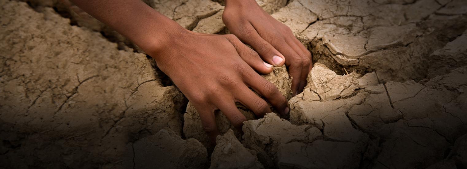 Risks & Adaptation