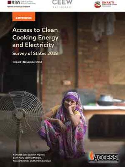 Access to Clean Cooking Energy and Electricity