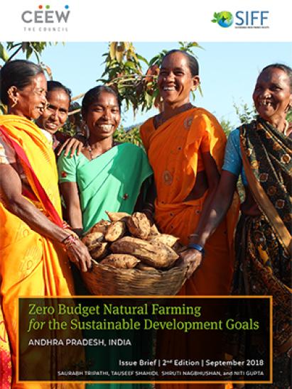 Zero Budget Natural Farming