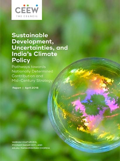 sustainable development and india