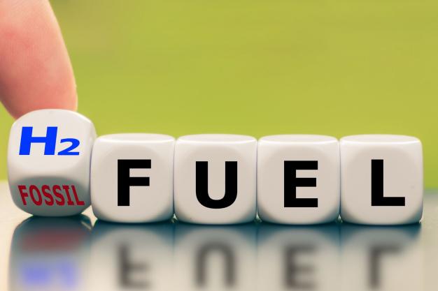 Enabling India's transition towards a green hydrogen economy