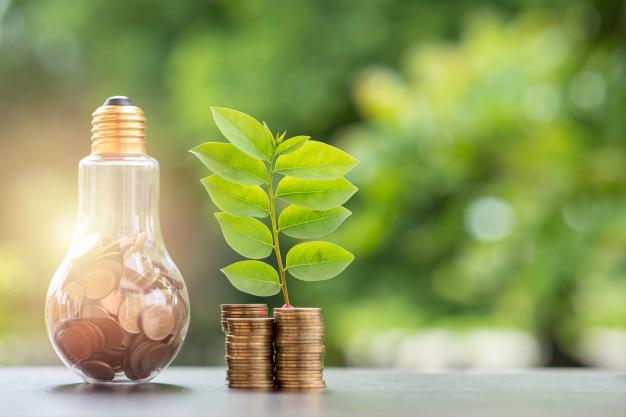 Financing Asia's Energy Transition: Investment Trends in the Wake of the Pandemic